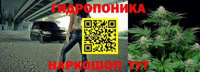 хмурый Малоярославец